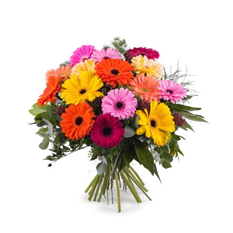 flores a domicilio cadiz|Floristerías en Cádiz con envío a domicilio .